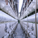 Illustration for article titled A Rare Peek Inside a Factory Where Toilets Are Born